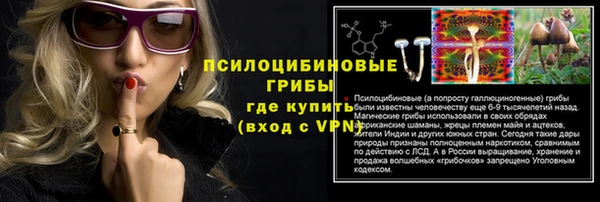 мяу мяу мука Аркадак