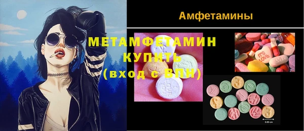 мяу мяу мука Аркадак