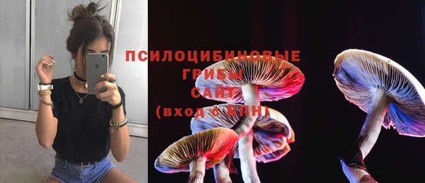 MDMA Premium VHQ Армянск