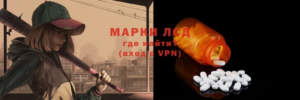 мяу мяу мука Аркадак